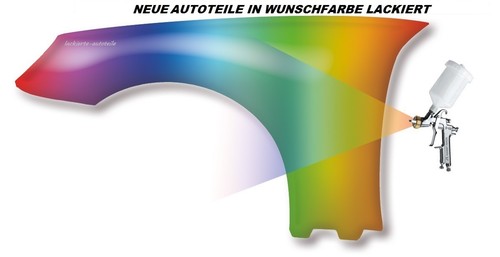 Kotflügel wunschfarbe - kotflügel,
